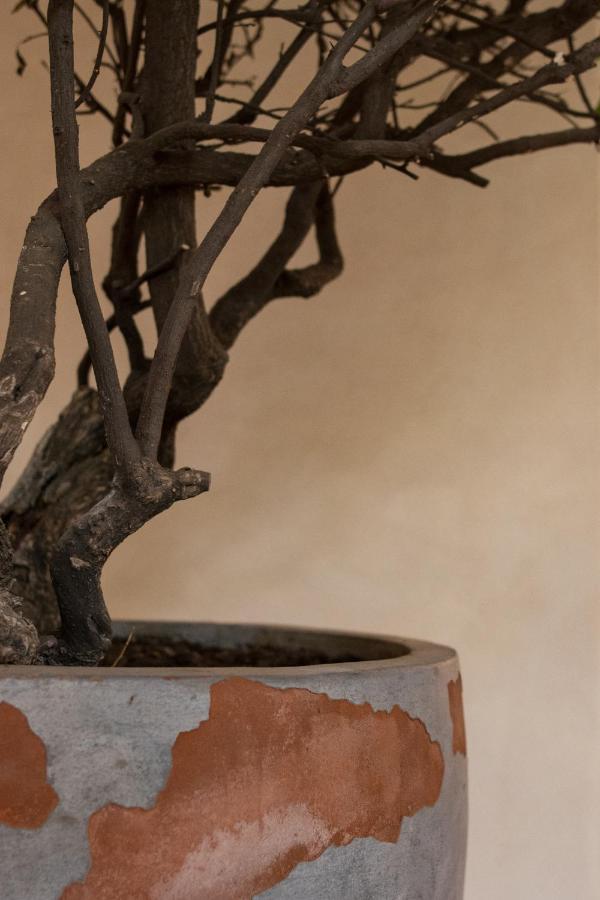 Taller De Juan - Casa Hotel San Cristóbal de Las Casas Zewnętrze zdjęcie